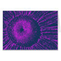 Purple Abstract Sunflower cards