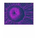 Purple Abstract Sunflower t-shirts