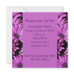 Purple African Daisies Flower Invitation