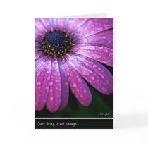 Purple African Daisy, by Anna Wight Greeting Card