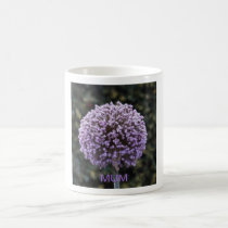 Purple Allium  Mum Mug mugs