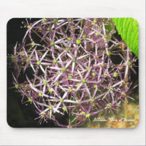Purple Allium "Star of Persia" Mousepad mousepads
