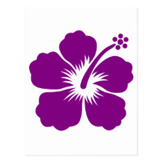 Purple aloha flower post cards