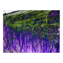 purple and green grass posters by Web420 purple and green grass posters