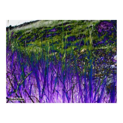 purple and green grass poster by Web420