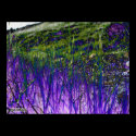 purple and green grass posters
