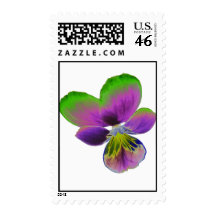 Purple and Green Pansy Postage Stamp