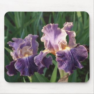 Purple and Lavender Iris Mouse Pad