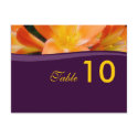 Purple and Orange Table Number postcard