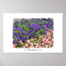purple and pink flowers poster