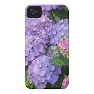 Purple and Pink Hydrangea Flowers iPhone 4 Covers