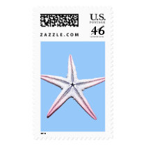Purple and Pink Starfish postage