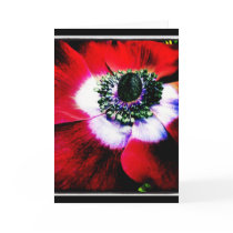 Purple and Red Anemone Blank Greeting Card