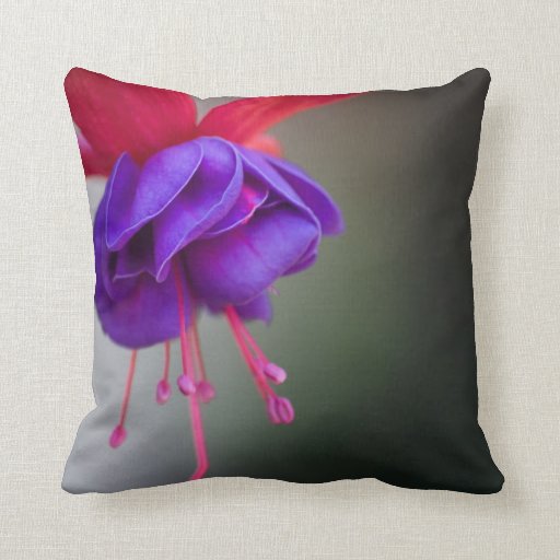 Purple and Red Fuchsia Flower Throw Pillow Zazzle