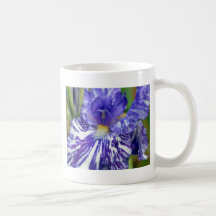 Purple and White Bearded Iris Mug