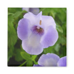 Purple and White Flowers Magnet