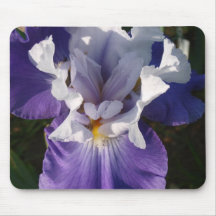 Purple and White Iris Mouse Pads