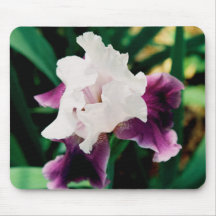 Purple and White Iris - Mousepad
