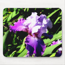 Purple and White Iris Mousepads