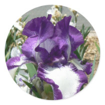 Purple and White Iris stickers