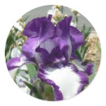 Purple and White Iris stickers