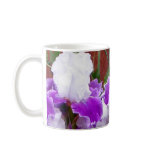 Purple and White Irises Coffee Mugs
