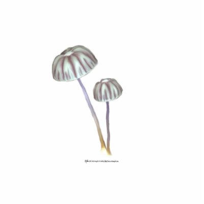 Purple and White Mushrooms with Daisies Cut Out by Rockangel1