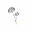 Purple and White Mushrooms with Daisies photo sculptures