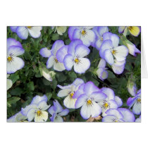 Purple and White Pansies cards