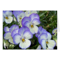Purple and White Pansies cards