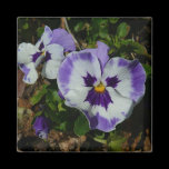 Purple and White Pansies Magnet
