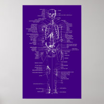 purple and white skeleton print