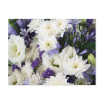 Purple and Whites postcards by CyrScenes Purple and Whites postcards
