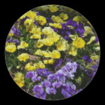 Purple and Yellow Pansies Sticker