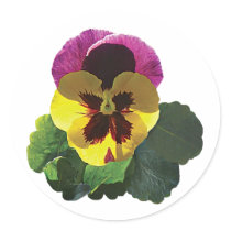 Purple and Yellow Pansy stickers by SusanSavad Purple and Yellow Pansy stickers