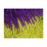 Purple and yellow! postcards