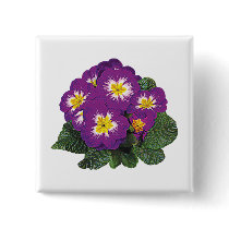 Purple and Yellow Primroses buttons