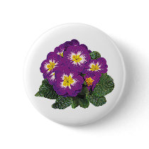 Purple and Yellow Primroses buttons