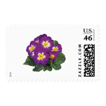 Purple and Yellow Primroses postage