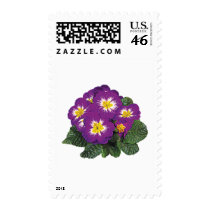 Purple and Yellow Primroses postage