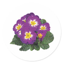 Purple and Yellow Primroses stickers