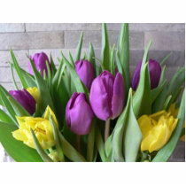 Purple And Yellow Tulips photo sculptures