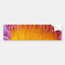 Purple and Yellow Water Lily Abstract Art Bumper Sticker