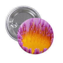 Purple and Yellow Water Lily Flower Blossom Pin