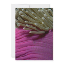 Purple anemone custom invitations