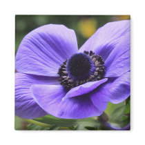 Purple Anemone Fridge Magnet