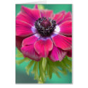 purple anenome cards by fleurdujour purple anenome cards