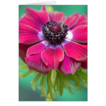 purple anenome cards by fleurdujour purple anenome cards