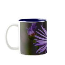 Purple Aster mugs