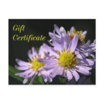 flowers, gift certificate, flower gift